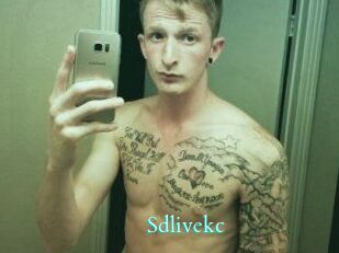 sdlivekc Free Gay Porn Finder
