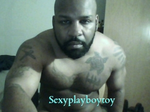 Sexyplayboytoy