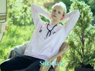 Silkydave
