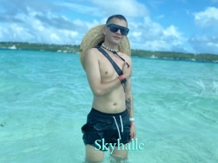 Skyhalle