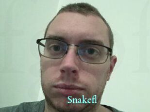 Snakefl