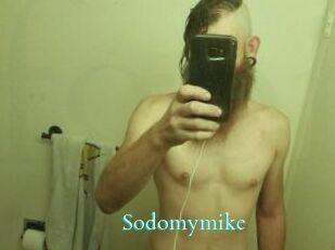 Sodomymike