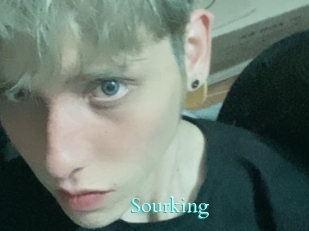 Sourking