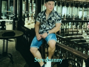 Stevebunny