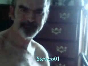 Stewco01