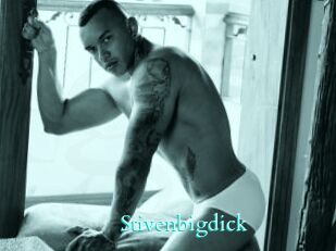 Stivenbigdick