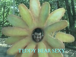 TEDDY_BEAR_SEXY