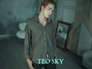 TEO_SKY