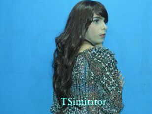 TSimitator