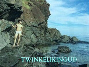 TWINKELIKINGUD
