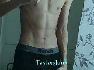 TaylorsJunk
