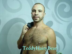TeddyHairyBear