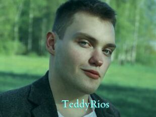 TeddyRios