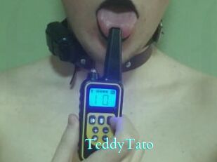 TeddyTato