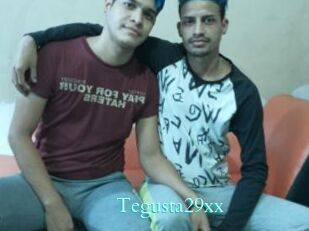 Tegusta29xx