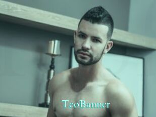 TeoBanner