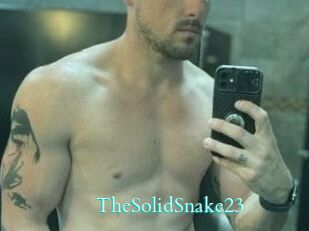 TheSolidSnake23