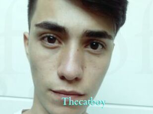 Thecatboy