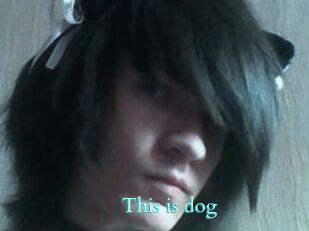 This_is_dog