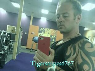 Tigerstripes6767