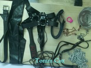 Tomm_Catt