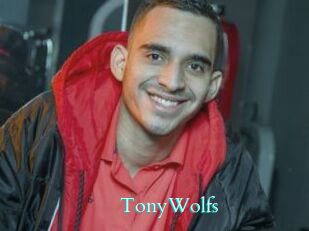 TonyWolfs