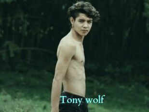 Tony_wolf