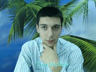 TroyMellow Free Gay Porn Finder