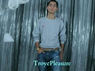 TroyePleasure Free Gay Porn Finder