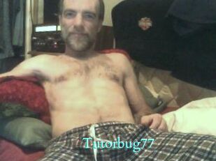 Tutorbug77 Free Gay Porn Finder