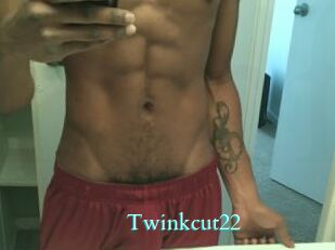 Twinkcut22