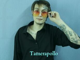 Tamerapollo