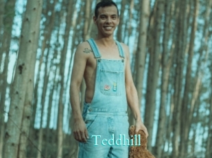 Teddhill