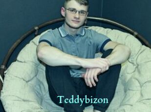 Teddybizon