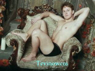 Tevinowens