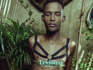 Teylorray