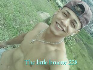 The_little_bruette_228