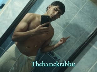 Thebarackrabbit