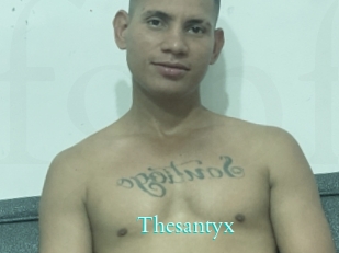 Thesantyx