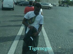 Tigrenegro