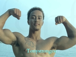 tonystrongest Free Gay Porn Finder
