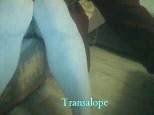Transalope