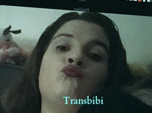 Transbibi