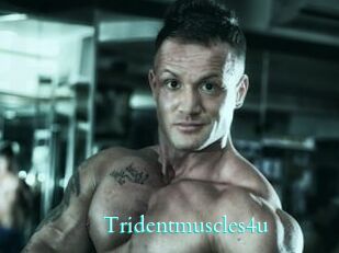 Tridentmuscles4u