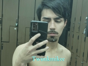 Twunkmikee