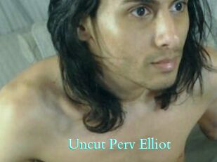 Uncut_Perv_Elliot