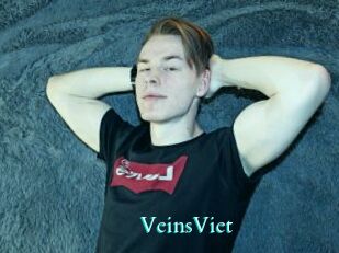VeinsViet