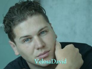 VelosaDavid