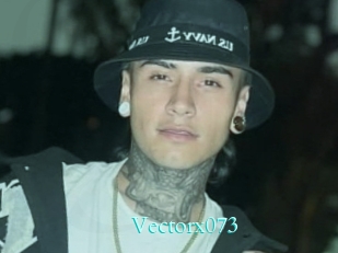 Vectorx073