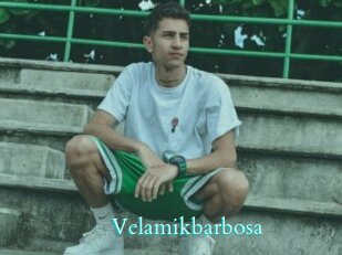 Velamikbarbosa